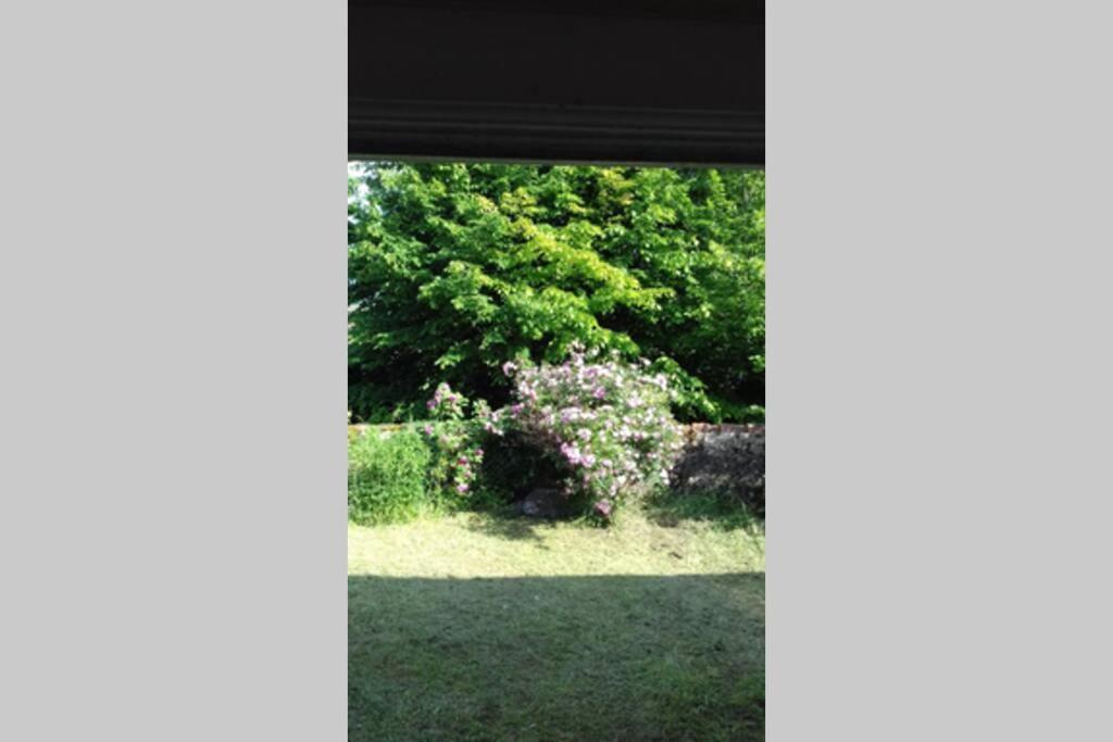 克卢尼Jardin De Cure别墅 外观 照片